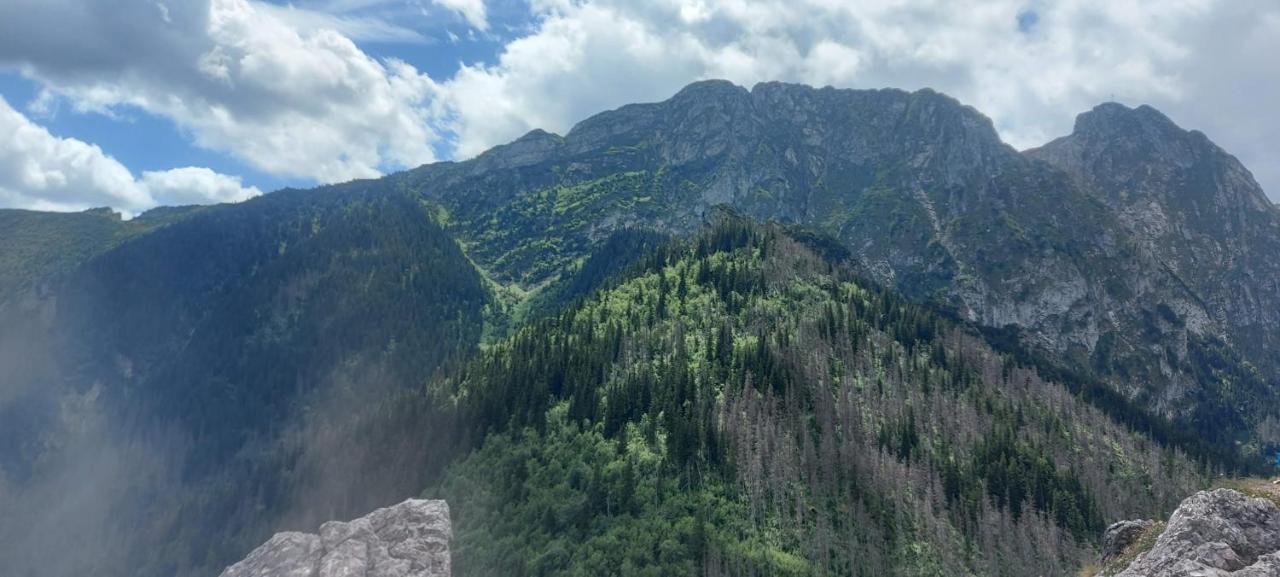 Willa Hajnowka Zakopane Exteriér fotografie