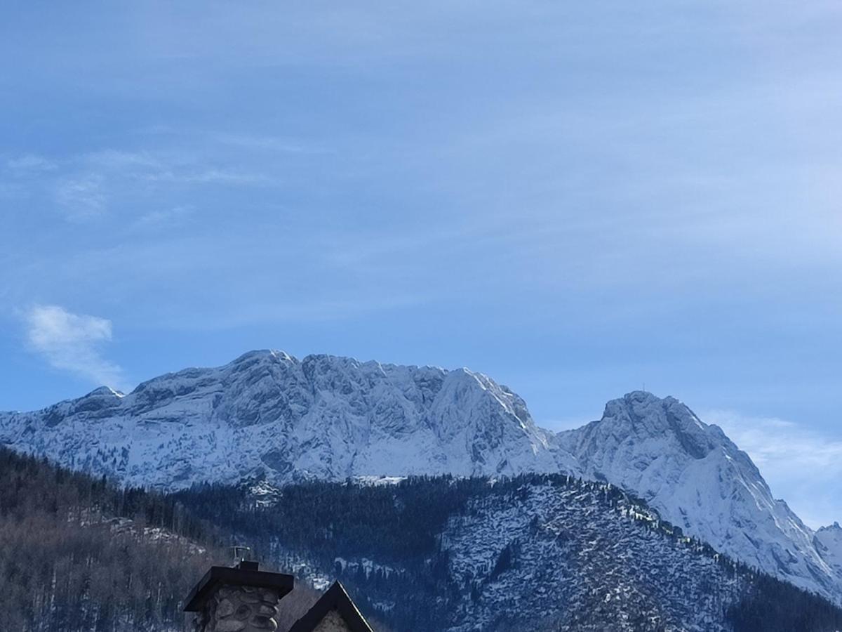 Willa Hajnowka Zakopane Exteriér fotografie